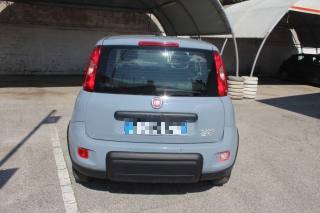 FIAT Panda usata 4
