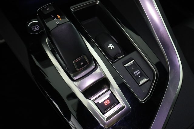 PEUGEOT 3008 usata 13