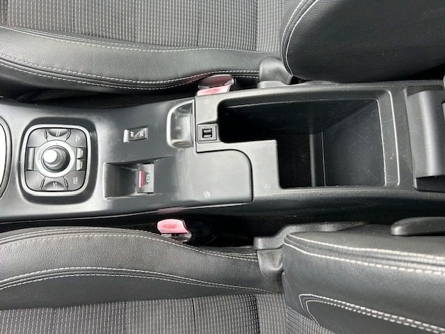 RENAULT Megane usata, con Fendinebbia