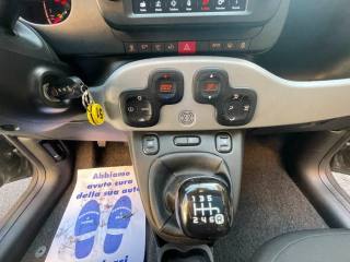 FIAT Panda usata, con Fendinebbia