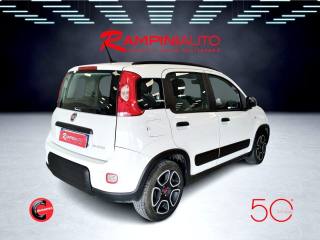 FIAT Panda usata 6