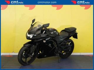 KAWASAKI Ninja 250 R usata 2