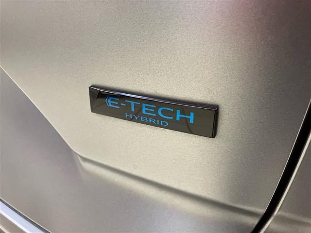 RENAULT Austral usata 27