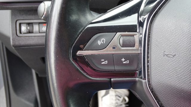 PEUGEOT 5008 usata 92