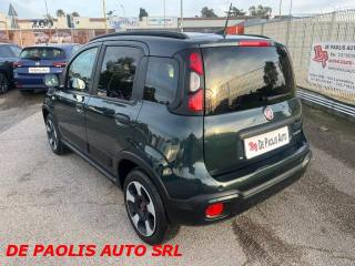 FIAT Panda Cross usata, con Alzacristalli elettrici