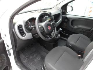 FIAT Panda usata, con Controllo trazione