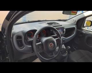FIAT New Panda usata, con Controllo automatico clima