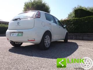 FIAT Punto usata 49
