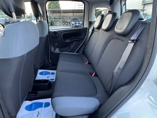 FIAT New Panda usata, con ESP