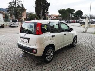 FIAT Panda usata, con Climatizzatore