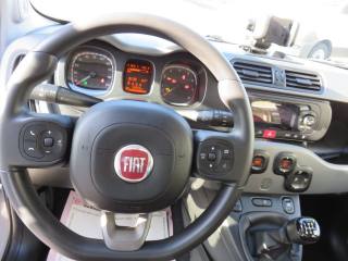 FIAT Panda usata, con Boardcomputer