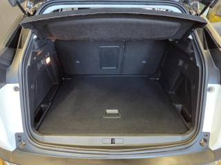 PEUGEOT 3008 usata, con Chiusura centralizzata