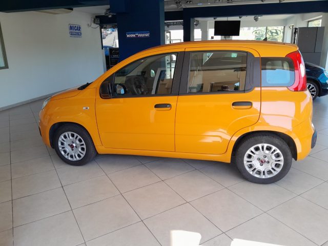 FIAT Panda usata, con Climatizzatore