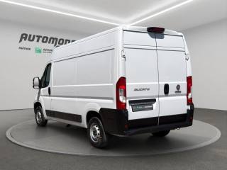 FIAT Ducato usata, con Servosterzo