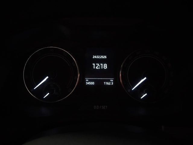 SKODA Scala usata 25