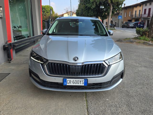 SKODA Octavia usata 143