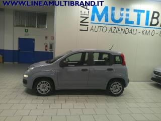FIAT Panda usata, con Servosterzo