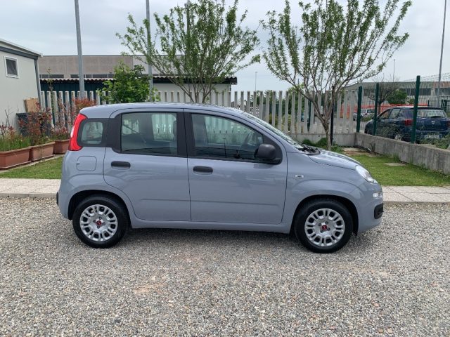 FIAT Panda usata, con Alzacristalli elettrici