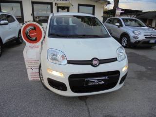 FIAT Panda usata, con Airbag Passeggero