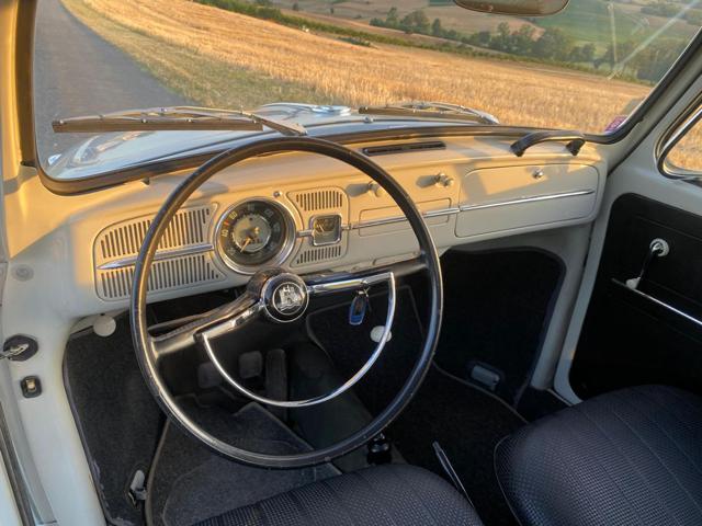 VOLKSWAGEN Maggiolino usata 16