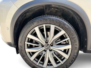 NISSAN X-Trail usata, con ESP