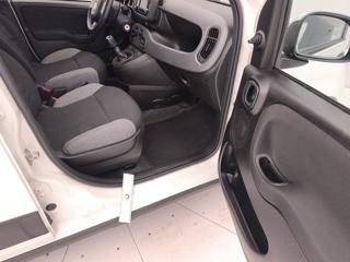 FIAT Panda usata 29