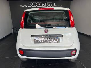 FIAT Panda usata, con Airbag Passeggero