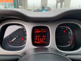 FIAT Panda Cross usata, con ESP