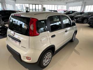 FIAT Panda usata, con Autoradio