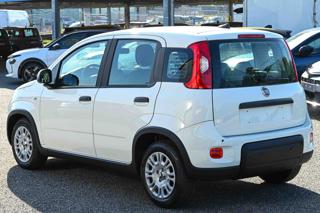 FIAT Panda usata, con Chiusura centralizzata