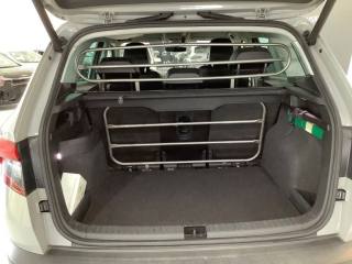 SKODA Karoq usata, con Fendinebbia