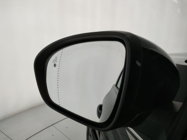 RENAULT Arkana usata, con Cruise Control