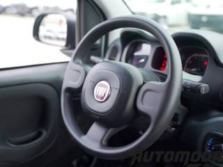 FIAT Panda usata 12