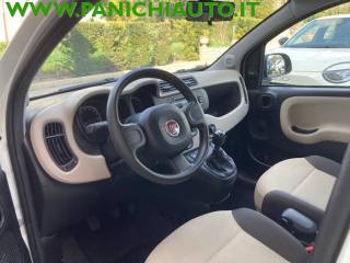 FIAT Panda usata, con Airbag testa
