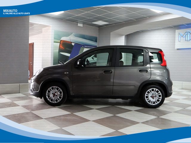 FIAT Panda usata, con Alzacristalli elettrici