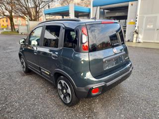 FIAT Pandina usata, con Controllo trazione