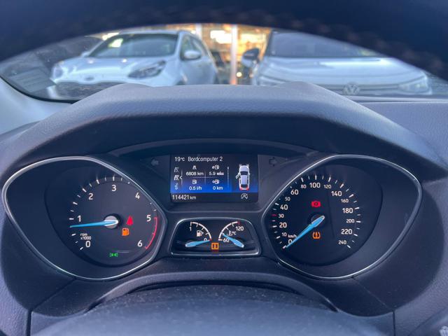 FORD Focus usata, con Bracciolo