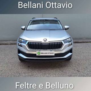 SKODA Karoq usata, con Autoradio