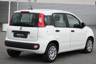 FIAT Panda usata, con Antifurto