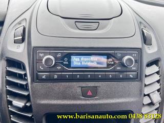 FORD Transit Connect usata, con Vivavoce