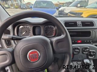 FIAT Panda usata, con Cronologia tagliandi