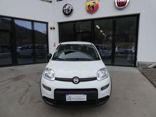 FIAT Panda usata, con Airbag Passeggero