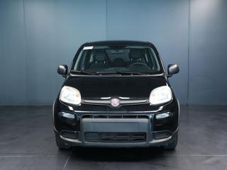 FIAT Panda usata, con Airbag