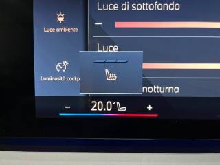 BMW X3 usata, con ESP