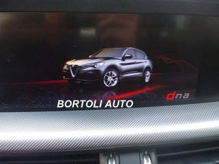 ALFA ROMEO Stelvio usata, con Leve al volante