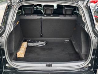 RENAULT Clio usata, con Fendinebbia