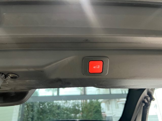 PEUGEOT 3008 usata, con Cronologia tagliandi