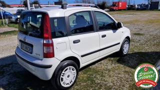 FIAT Panda usata, con Airbag