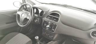 FIAT Punto usata 51