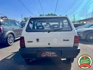 FIAT Panda usata 3